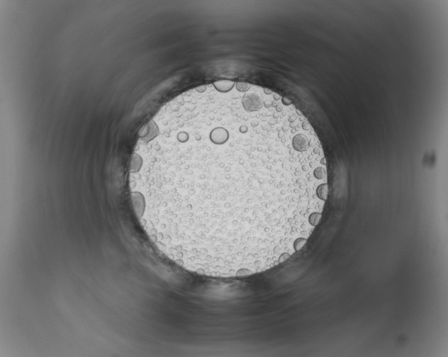 X0000111490569200908251028