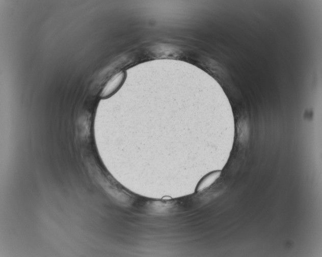 X0000111490570200908251028