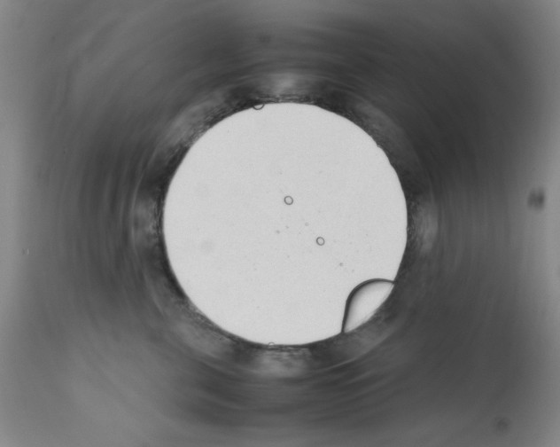 X0000111490571200908251028