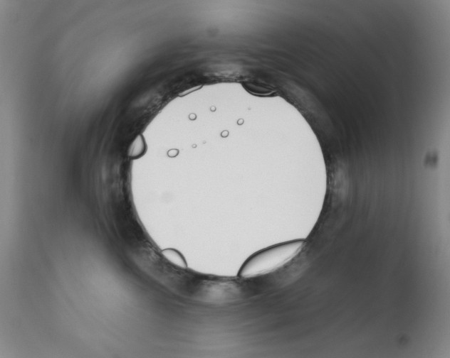 X0000111490572200908251028