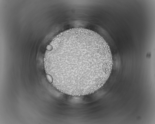 X0000111490573200908251028