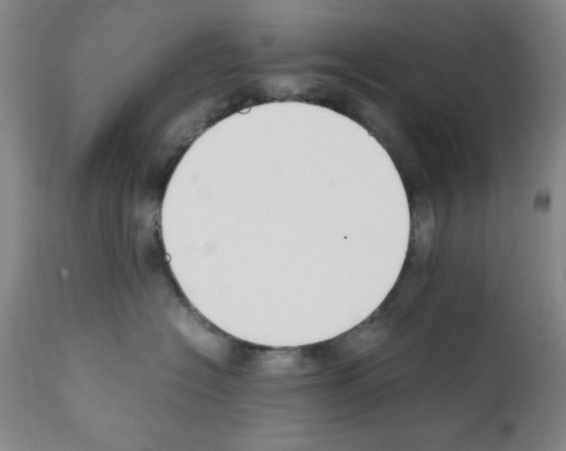 X0000111490574200908251028