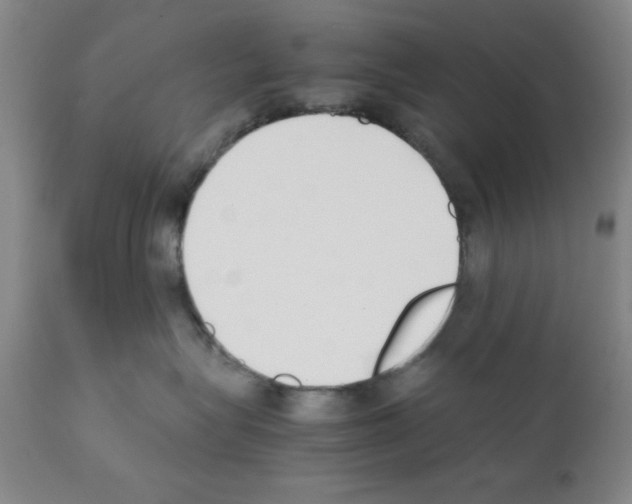 X0000111490575200908251028