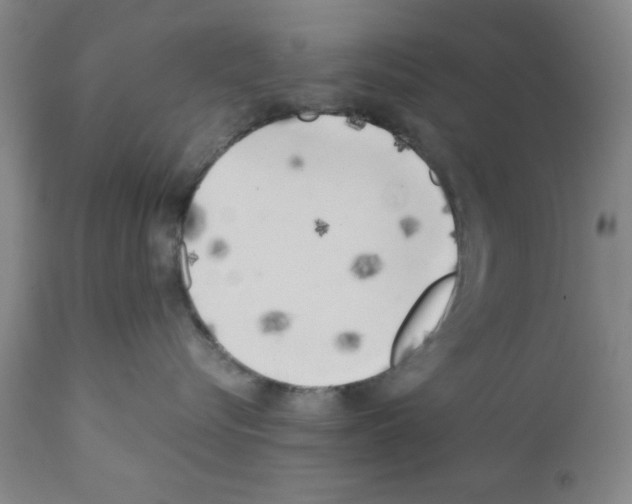 X0000111490576200908251028