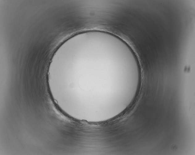 X0000111490577200908251028