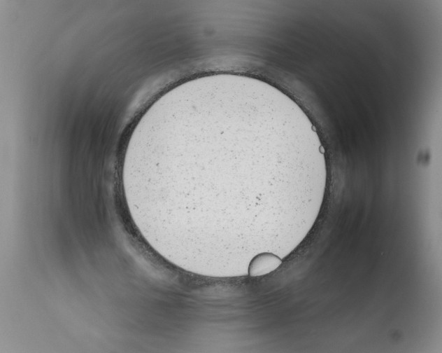X0000111490578200908251028