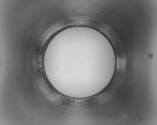 X0000111490579200908251028