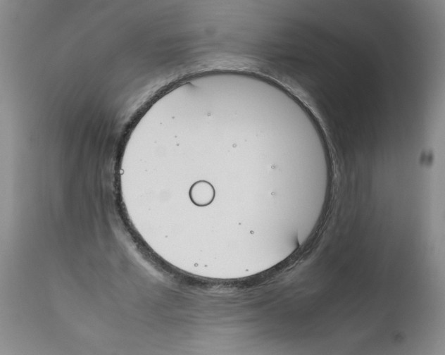 X0000111490581200908251028