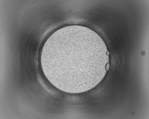 X0000111490582200908251028