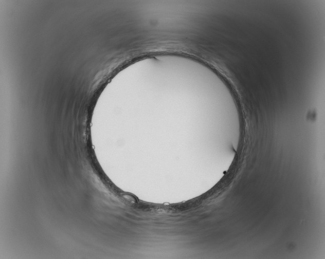 X0000111490585200908251028
