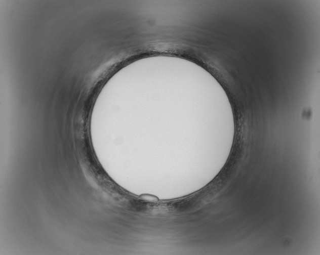 X0000111490587200908251028