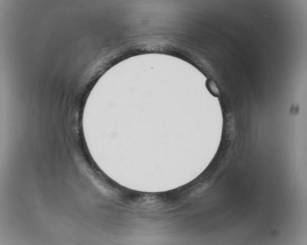 X0000111490589200908251028