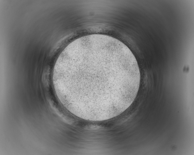 X0000111490590200908251028