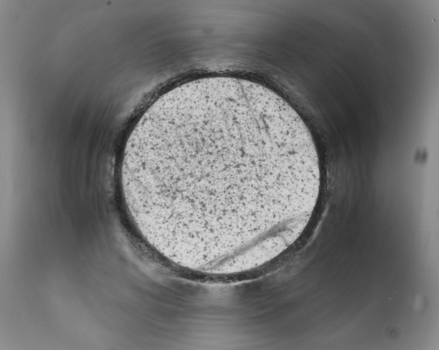 X0000111490592200908251027