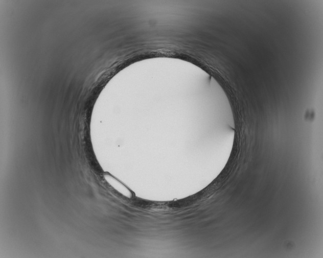 X0000111490595200908251027