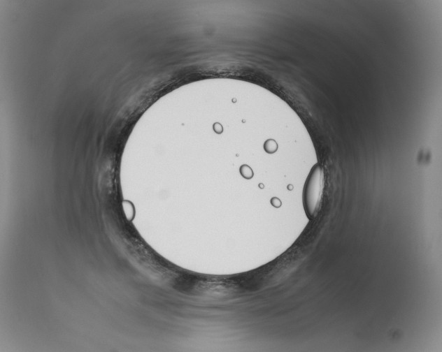 X0000111490597200908251027
