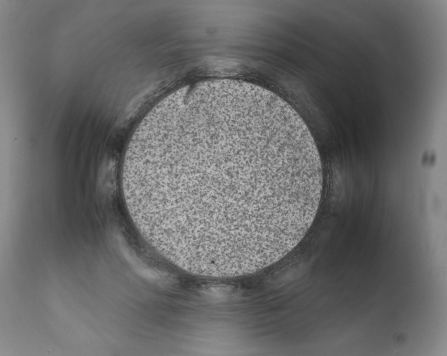 X0000111490598200908251027