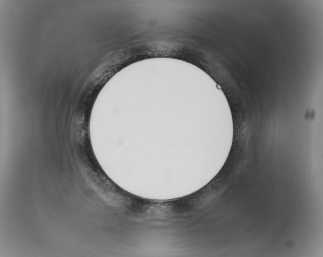 X0000111490599200908251027