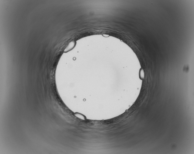 X0000111490601200908251027