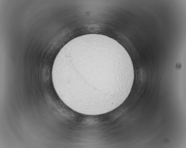 X0000111490606200908251027
