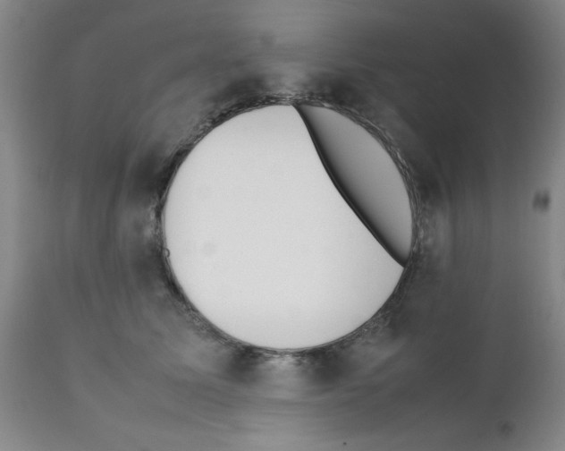 X0000111490611200908251027