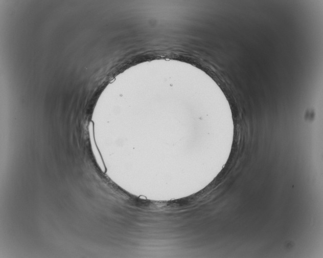 X0000111490613200908251027
