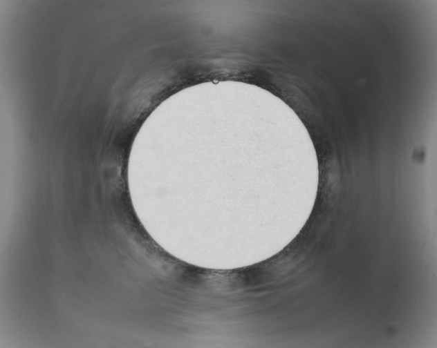 X0000111490615200908251027