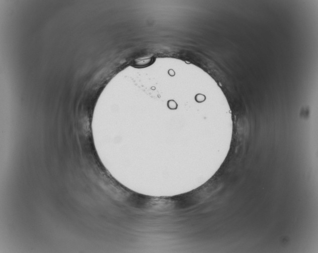 X0000111490617200908251027