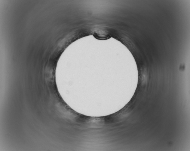 X0000111490619200908251027
