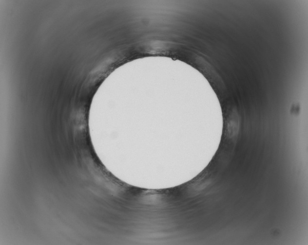 X0000111490620200908251027