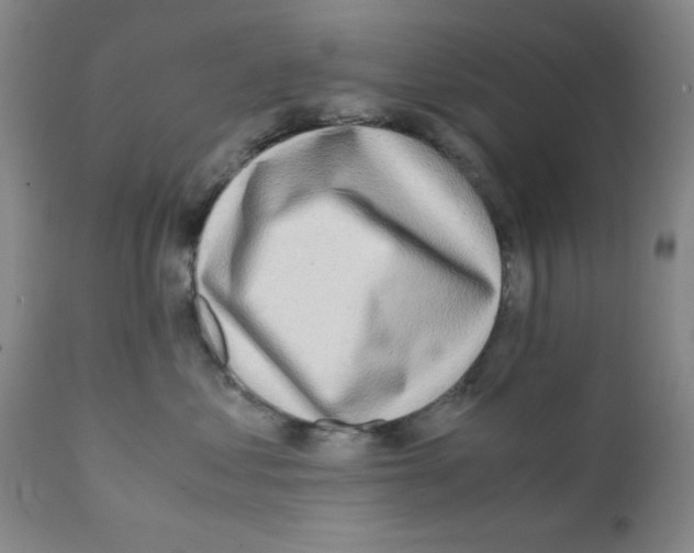 X0000111490621200908251027