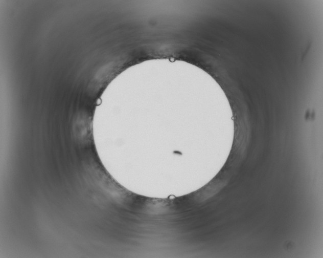 X0000111490624200908251027