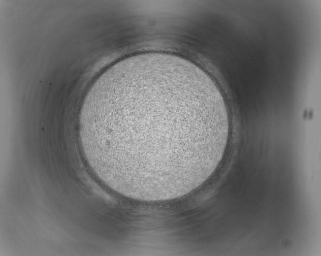 X0000111490625200908251026