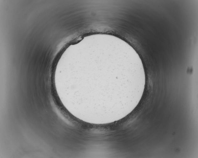 X0000111490630200908251026