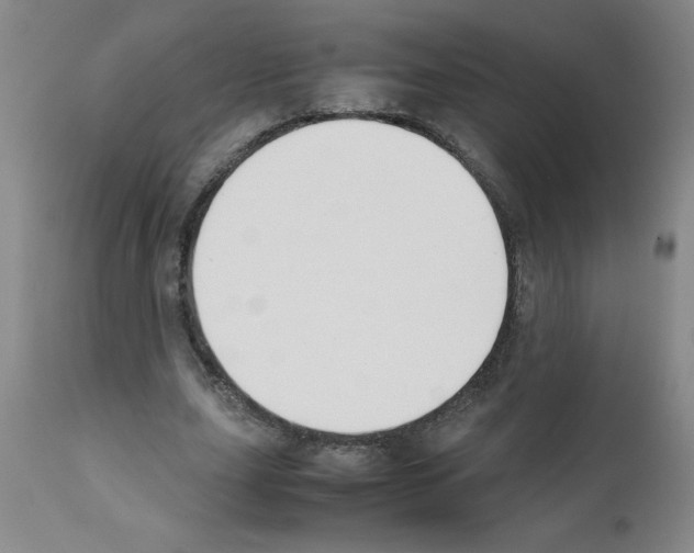 X0000111490631200908251026