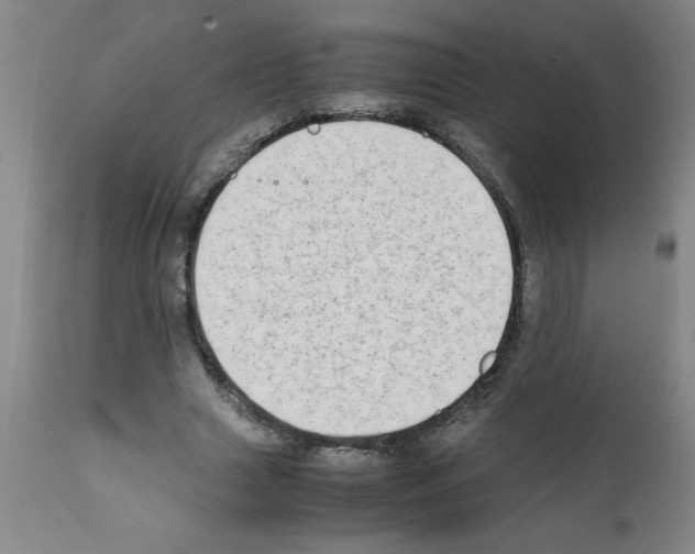 X0000111490633200908251026