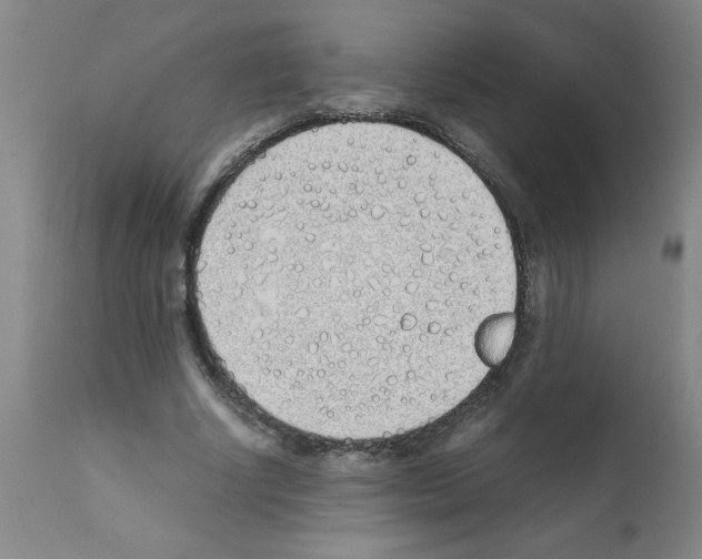 X0000111490634200908251027