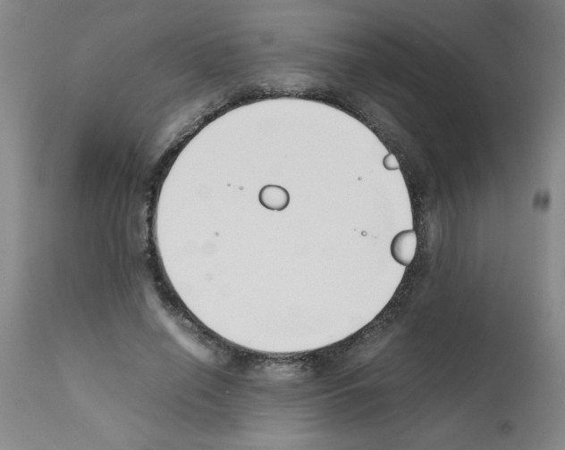 X0000111490638200908251027