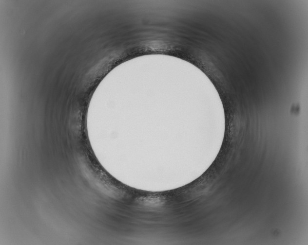 X0000111490639200908251027