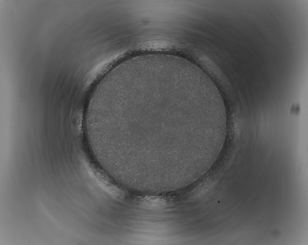 X0000111490640200908251027