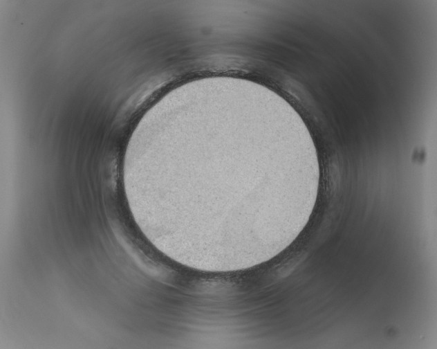 X0000111490644200908251027