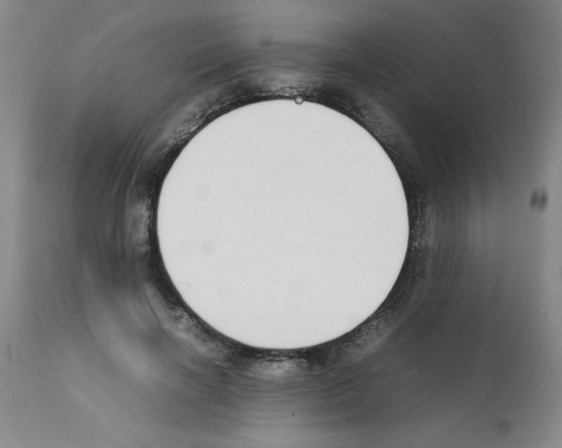 X0000111490646200908251027