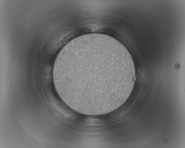 X0000111490650200908251027