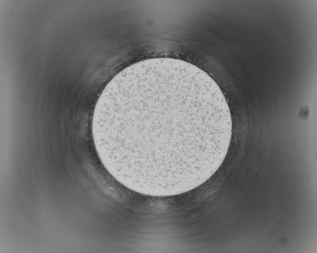 X0000111490656200908251027
