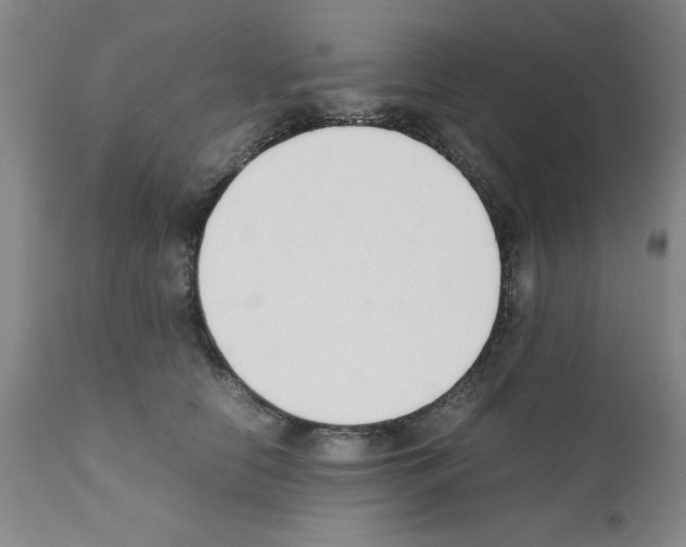 X0000111490658200908251027
