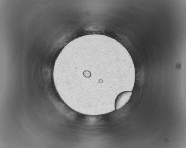 X0000111490662200908251027