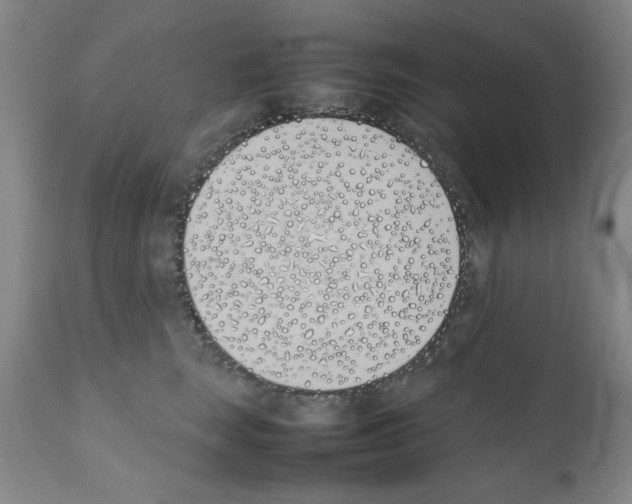 X0000111490663200908251027