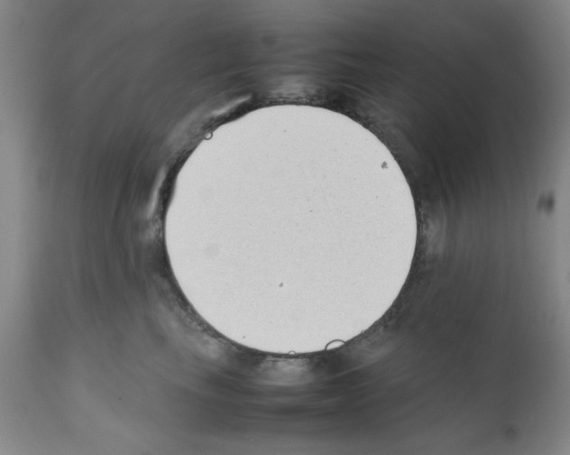 X0000111490665200908251027