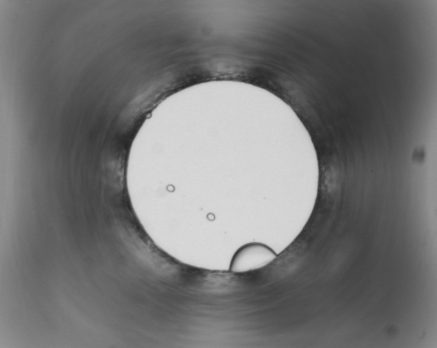 X0000111490666200908251027