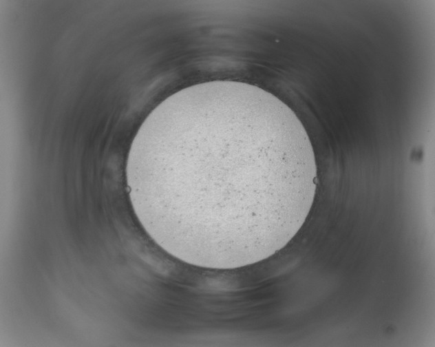 X0000111490667200908251027